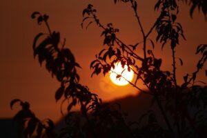 Luxembourg Unlocked: Your Essential Travel Guide to Exploring the Heart of Europe&rsquo;s Hidden Gem