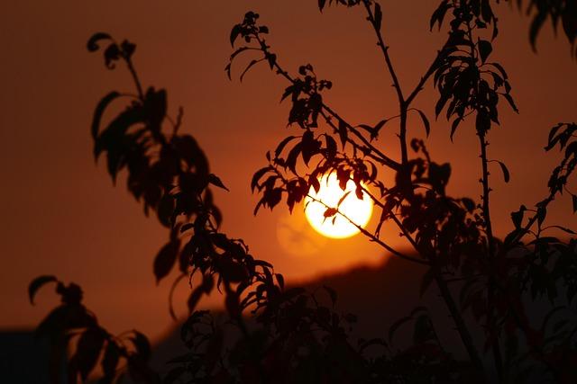 Luxembourg Unlocked: Your Essential Travel Guide to Exploring the Heart of Europe&rsquo;s Hidden Gem