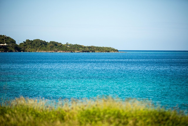 Jamaica Travel Guide: Explore Vibrant Culture, Stunning Beaches, and Adventure Awaits You