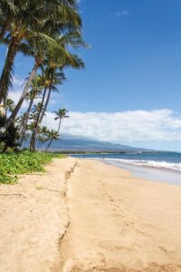 Paradise Found: Discovering the Most Stunning Beaches to Visit in Hawaii's Island Paradise