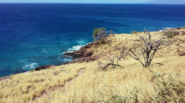Sandy Shores and Crystal Waters: Discover the Best Beaches to Visit in Hawaii's Paradise