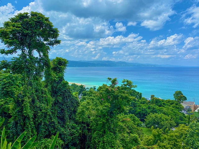 Jamaica Unlocked: Your Essential Travel Guide to Vibrant Culture, Stunning Landscapes, and Adventure