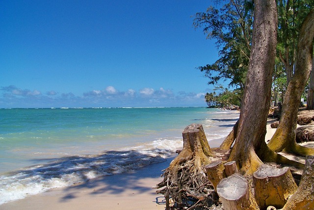 Hawaii's Best Beaches: A Guide to Paradise, Sun, and Unforgettable Ocean Experiences