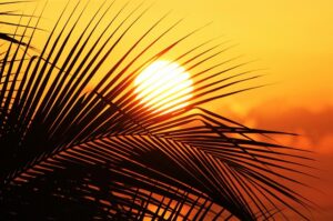 Negril Jamaica Travel Guide: Experience Pristine Beaches, Vibrant Culture, and Adventure Awaits