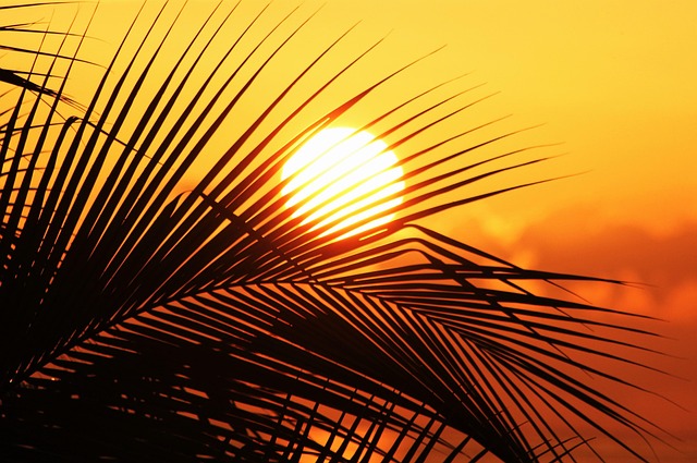 Negril Jamaica Travel Guide: Experience Pristine Beaches, Vibrant Culture, and Adventure Awaits