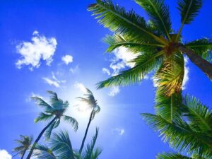 Paradise Found: Exploring Hawaii's Best Beaches for Adventure, Relaxation, and Natural Beauty