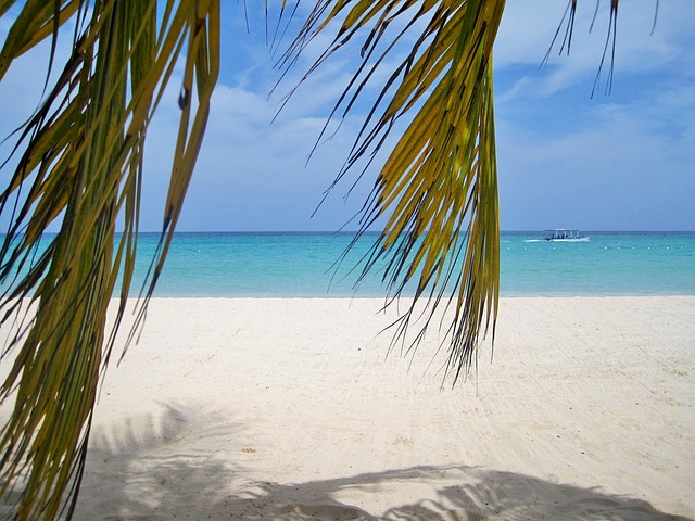 Jamaica Awaits: Your Essential Travel Guide to Stunning Beaches, Lush Landscapes, and Rich Culture