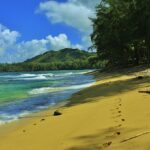 Discover Hawaii's Best Beaches: A Guide to Sun-Drenched Shores and Tropical Paradise