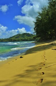 Discover Hawaii's Best Beaches: A Guide to Sun-Drenched Shores and Tropical Paradise